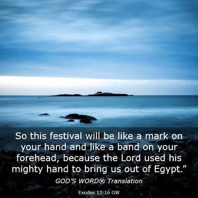 Picture 03 - Exodus 13:16 GW - So this festival will be like a mark on your hand - Bible Verse Picture