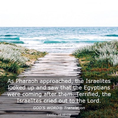 Picture 03 - Exodus 14:10 GW - As Pharaoh approached, the Israelites looked up - Bible Verse Picture