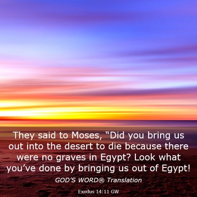 Picture 03 - Exodus 14:11 GW - They said to Moses, “Did you bring us out into - Bible Verse Picture