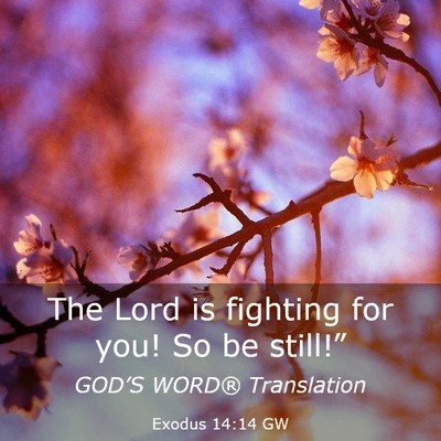 Picture 03 - Exodus 14:14 GW - The Lord is fighting for you! So be - Bible Verse Picture