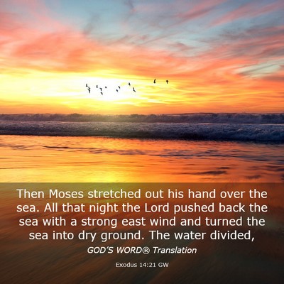 Picture 03 - Exodus 14:21 GW - Then Moses stretched out his hand over the sea. - Bible Verse Picture