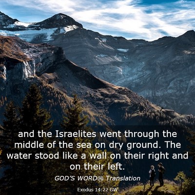 Picture 03 - Exodus 14:22 GW - and the Israelites went through the middle of the - Bible Verse Picture