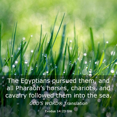 Picture 03 - Exodus 14:23 GW - The Egyptians pursued them, and all Pharaoh’s - Bible Verse Picture