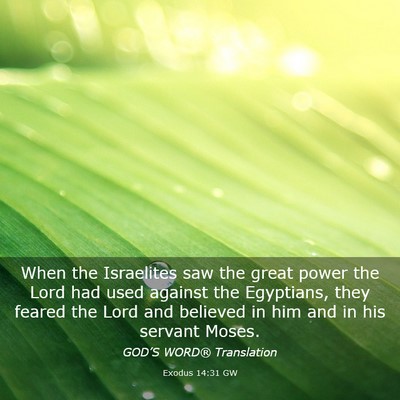 Picture 03 - Exodus 14:31 GW - When the Israelites saw the great power the Lord - Bible Verse Picture