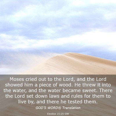 Picture 03 - Exodus 15:25 GW - Moses cried out to the Lord, and the Lord showed - Bible Verse Picture