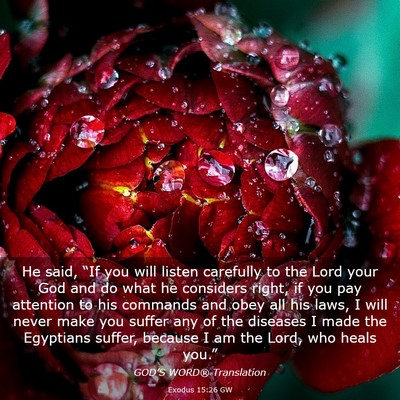 Picture 03 - Exodus 15:26 GW - He said, “If you will listen carefully to the - Bible Verse Picture