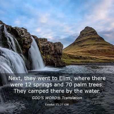 Picture 03 - Exodus 15:27 GW - Next, they went to Elim, where there were 12 - Bible Verse Picture