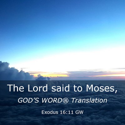 Picture 03 - Exodus 16:11 GW - The Lord said to - Bible Verse Picture