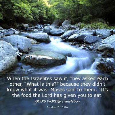 Picture 03 - Exodus 16:15 GW - When the Israelites saw it, they asked each - Bible Verse Picture