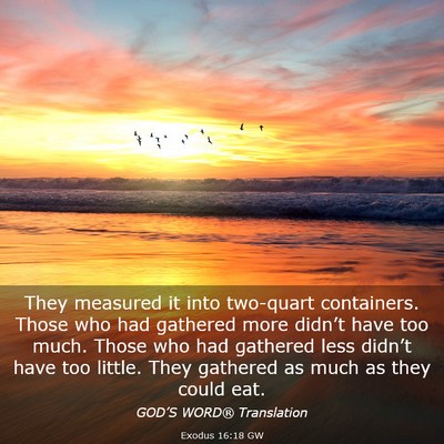 Picture 03 - Exodus 16:18 GW - They measured it into two-quart containers. Those - Bible Verse Picture