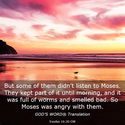 Picture 03 - Exodus 16:20 GW - But some of them didn’t listen to Moses. They - Bible Verse Picture