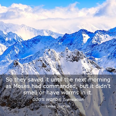 Picture 03 - Exodus 16:24 GW - So they saved it until the next morning as Moses - Bible Verse Picture