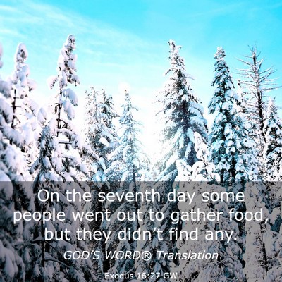 Picture 03 - Exodus 16:27 GW - On the seventh day some people went out to gather - Bible Verse Picture