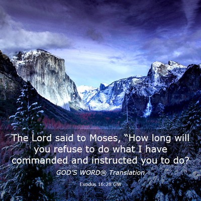 Picture 03 - Exodus 16:28 GW - The Lord said to Moses, “How long will you - Bible Verse Picture