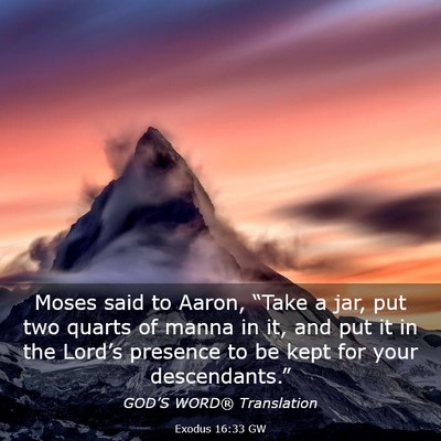 Picture 03 - Exodus 16:33 GW - Moses said to Aaron, “Take a jar, put two - Bible Verse Picture