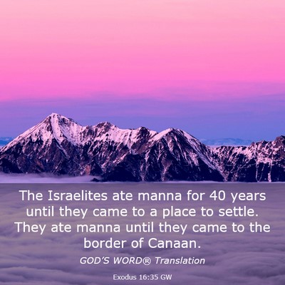 Picture 03 - Exodus 16:35 GW - The Israelites ate manna for 40 years until they - Bible Verse Picture