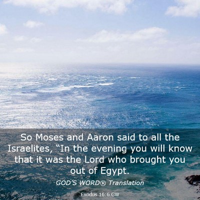 Picture 03 - Exodus 16:6 GW - So Moses and Aaron said to all the Israelites, - Bible Verse Picture