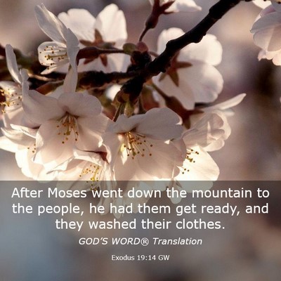 Picture 03 - Exodus 19:14 GW - After Moses went down the mountain to the people, - Bible Verse Picture