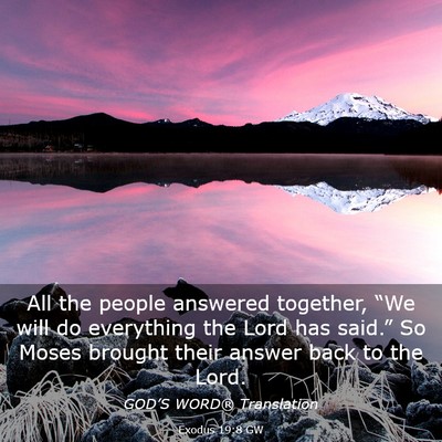 Picture 03 - Exodus 19:8 GW - All the people answered together, “We will do - Bible Verse Picture