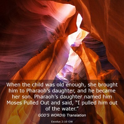 Picture 03 - Exodus 2:10 GW - When the child was old enough, she brought him to - Bible Verse Picture
