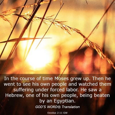 Picture 03 - Exodus 2:11 GW - In the course of time Moses grew up. Then he went - Bible Verse Picture