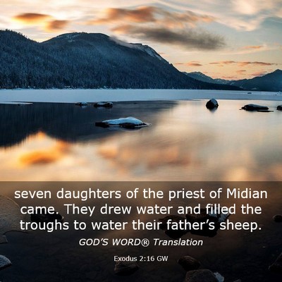 Picture 03 - Exodus 2:16 GW - seven daughters of the priest of Midian came. - Bible Verse Picture
