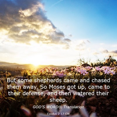 Picture 03 - Exodus 2:17 GW - But some shepherds came and chased them away. So - Bible Verse Picture