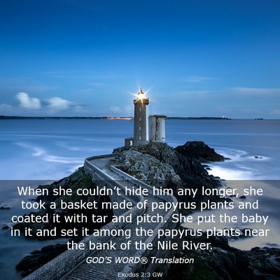 Picture 03 - Exodus 2:3 GW - When she couldn’t hide him any longer, she took - Bible Verse Picture