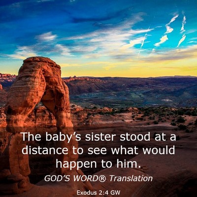 Picture 03 - Exodus 2:4 GW - The baby’s sister stood at a distance to see - Bible Verse Picture