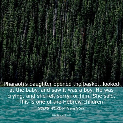 Picture 03 - Exodus 2:6 GW - Pharaoh’s daughter opened the basket, looked at - Bible Verse Picture