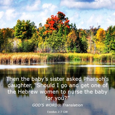 Picture 03 - Exodus 2:7 GW - Then the baby’s sister asked Pharaoh’s - Bible Verse Picture