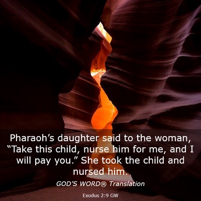 Picture 03 - Exodus 2:9 GW - Pharaoh’s daughter said to the woman, “Take - Bible Verse Picture