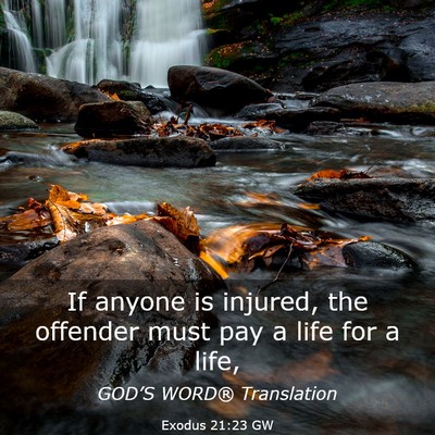 Picture 03 - Exodus 21:23 GW - If anyone is injured, the offender must pay a - Bible Verse Picture