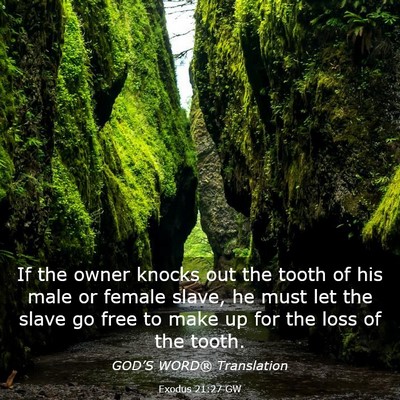 Picture 03 - Exodus 21:27 GW - If the owner knocks out the tooth of his male or - Bible Verse Picture