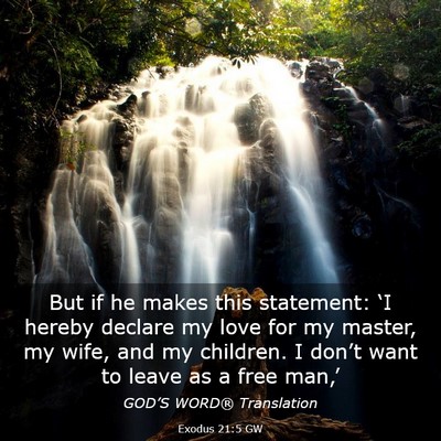 Picture 03 - Exodus 21:5 GW - But if he makes this statement: ‘I hereby - Bible Verse Picture