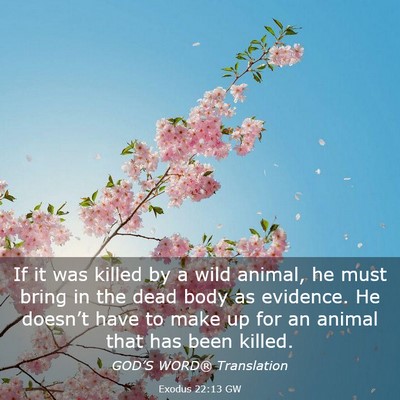 Picture 03 - Exodus 22:13 GW - If it was killed by a wild animal, he must bring - Bible Verse Picture