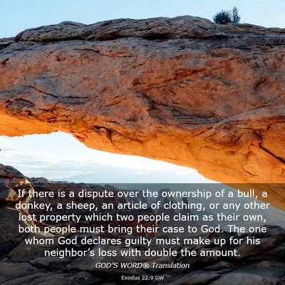 Picture 03 - Exodus 22:9 GW - If there is a dispute over the ownership of a - Bible Verse Picture