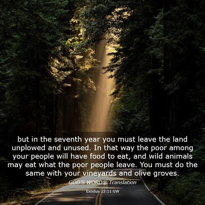 Picture 03 - Exodus 23:11 GW - but in the seventh year you must leave the land - Bible Verse Picture