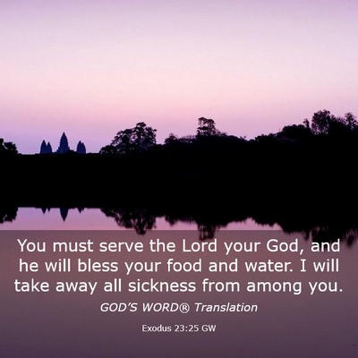 Picture 03 - Exodus 23:25 GW - You must serve the Lord your God, and he will - Bible Verse Picture