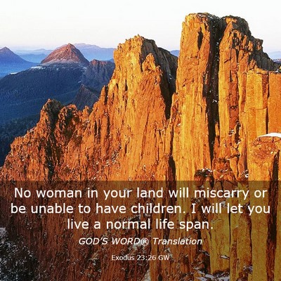 Picture 03 - Exodus 23:26 GW - No woman in your land will miscarry or be unable - Bible Verse Picture