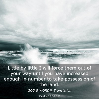 Picture 03 - Exodus 23:30 GW - Little by little I will force them out of your - Bible Verse Picture