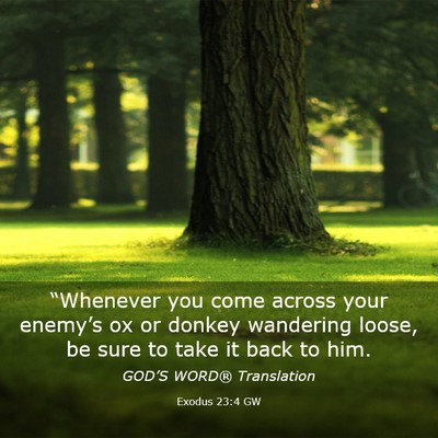 Picture 03 - Exodus 23:4 GW - “Whenever you come across your enemy’s ox or - Bible Verse Picture