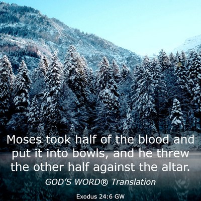 Picture 03 - Exodus 24:6 GW - Moses took half of the blood and put it into - Bible Verse Picture