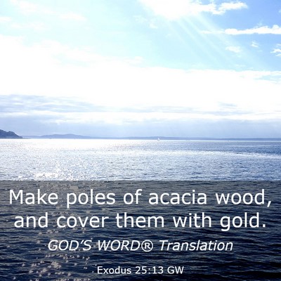 Picture 03 - Exodus 25:13 GW - Make poles of acacia wood, and cover them with - Bible Verse Picture