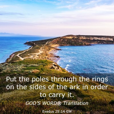Picture 03 - Exodus 25:14 GW - Put the poles through the rings on the sides of - Bible Verse Picture