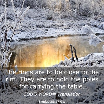 Picture 03 - Exodus 25:27 GW - The rings are to be close to the rim. They are to - Bible Verse Picture