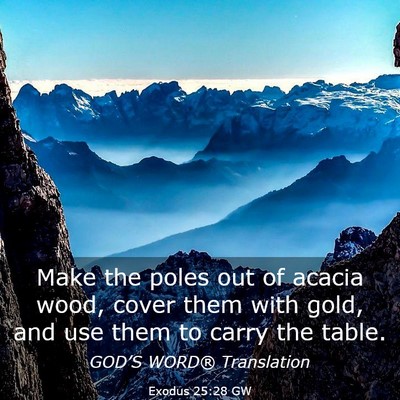 Picture 03 - Exodus 25:28 GW - Make the poles out of acacia wood, cover them - Bible Verse Picture