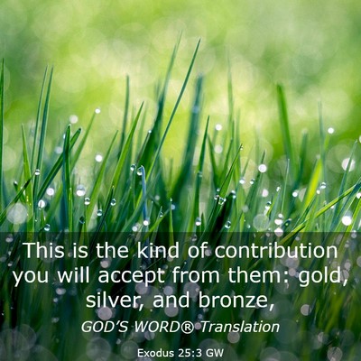 Picture 03 - Exodus 25:3 GW - This is the kind of contribution you will accept - Bible Verse Picture