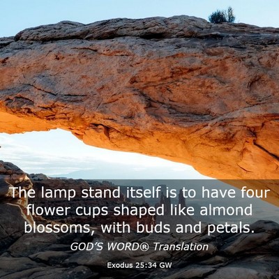 Picture 03 - Exodus 25:34 GW - The lamp stand itself is to have four flower cups - Bible Verse Picture