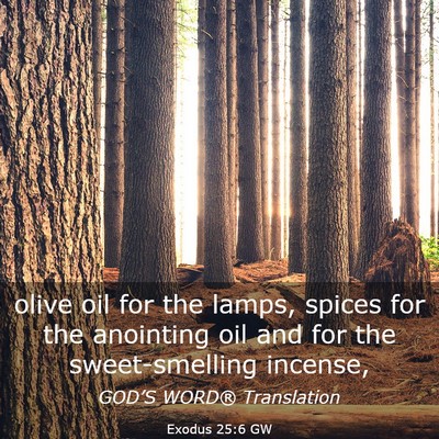 Picture 03 - Exodus 25:6 GW - olive oil for the lamps, spices for the anointing - Bible Verse Picture